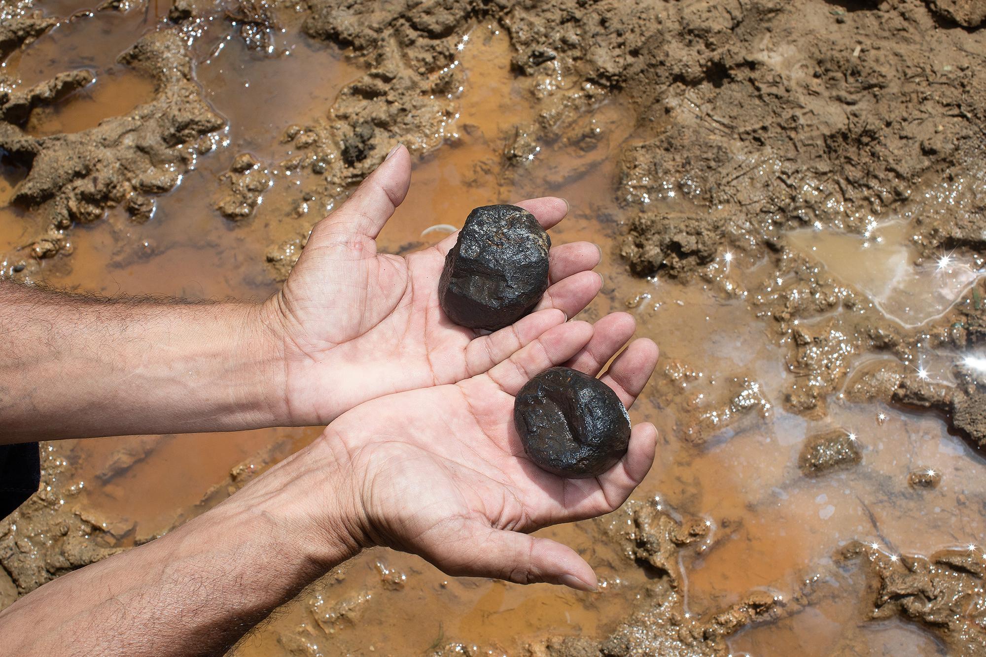 Asesinatos y persecución de líderes campesinos en el Bajo Aguán (Honduras) - 13